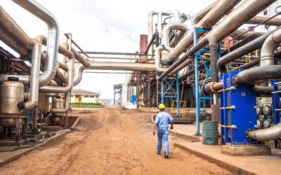 When Regulation Matures, Management Must Evolve Alongside It